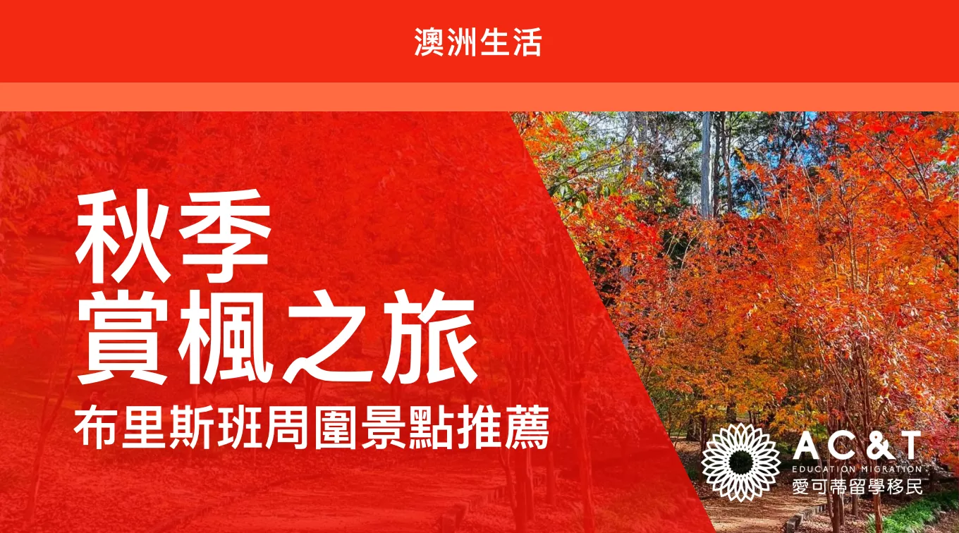 涼涼秋意，盤點布里斯本周邊神仙絕美賞楓必踩景點～