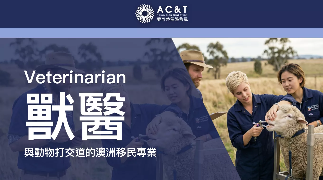 【獸醫】喜歡動物的你不可錯過的專業！與動物「打交道」的獸醫科學！